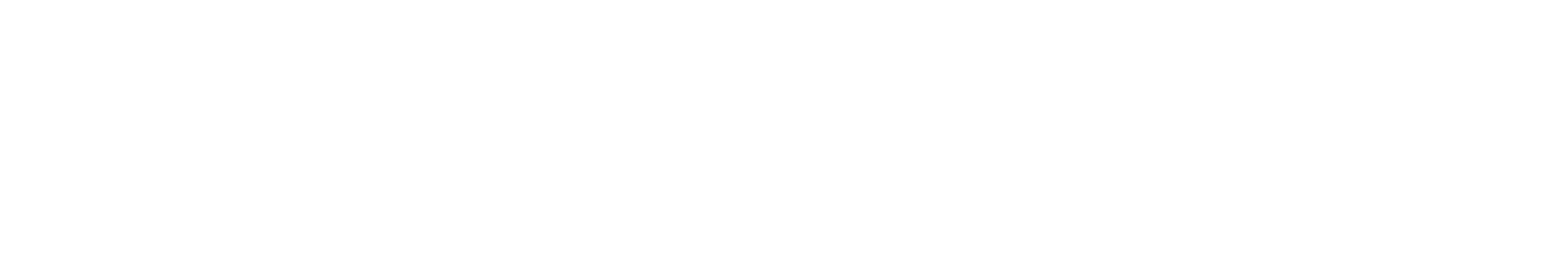 logo nova resine